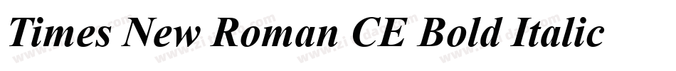 Times New Roman CE Bold Italic字体转换